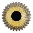  Lampa sufitowa / kinkiet Padre 6W LED czarny szklany Millagro ML2794 (8)